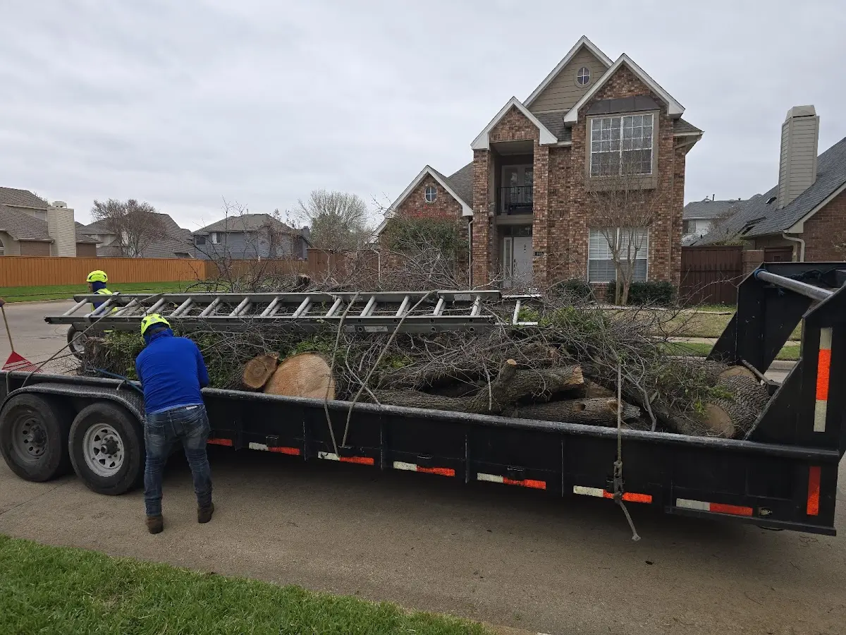 Expert Tree Pest Control with proper safety equipment in Rosenhayn